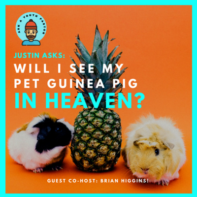 Justin Asks: Do Pets Go To Heaven?